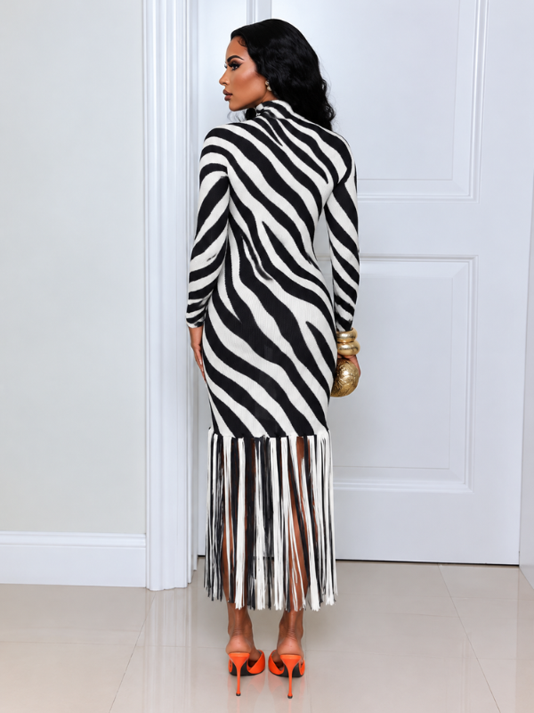 Zebra Printed Fringe Combo Dress