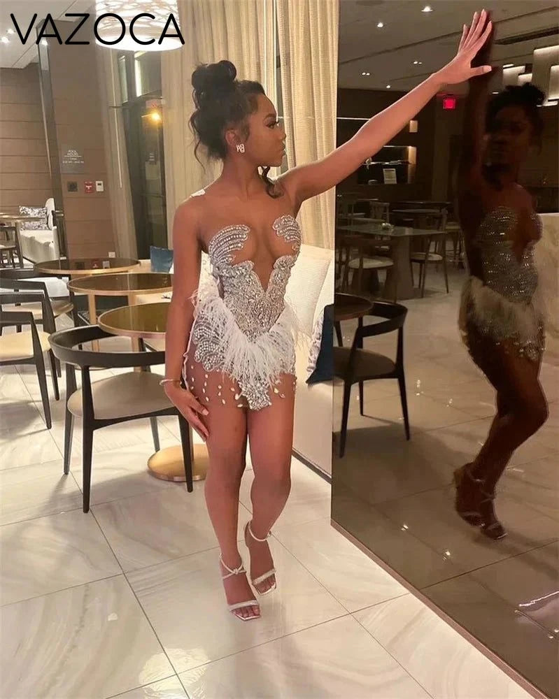 Brenda Mesh Feathers Dress