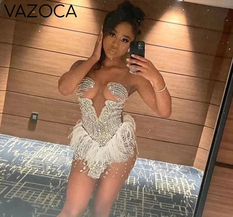 Brenda Mesh Feathers Dress