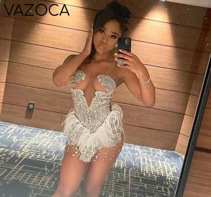 Brenda Mesh Feathers Dress