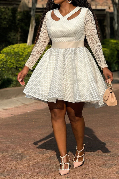 Unique Lace Sleeve Honeycomb A-line Dress