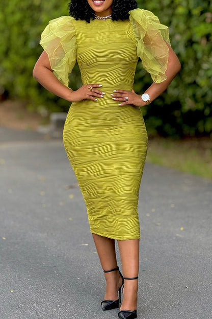 Gorgeous Textured Mesh Sleeve Curve Dress