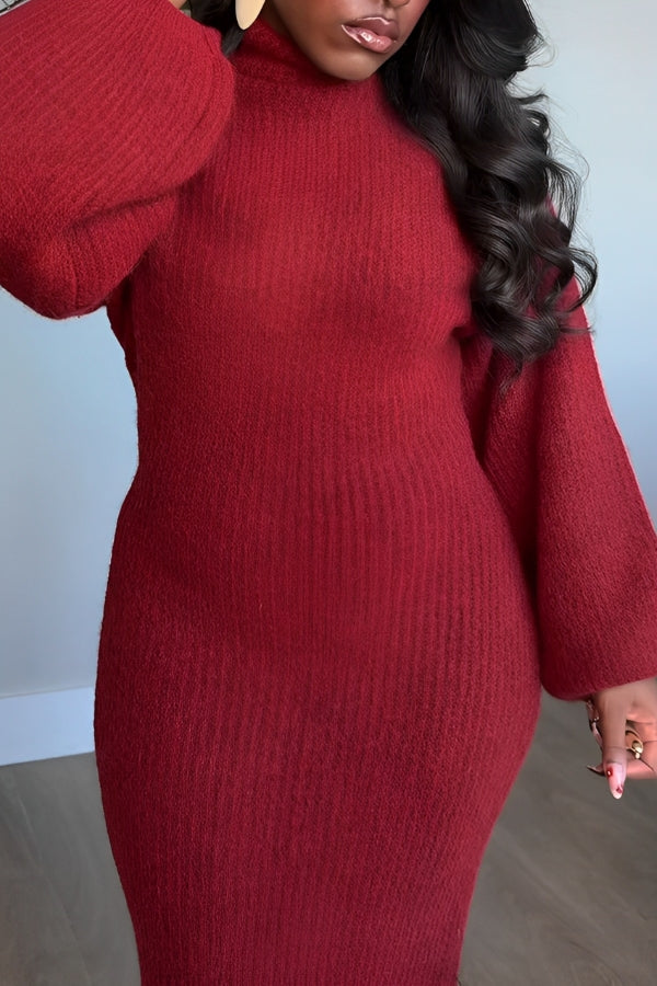 Chic Lantern Sleeve Turtle Neck Knit Dress