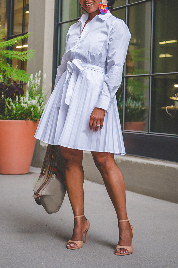 Chic Shirt & Pleated Lace Up Skirt Set