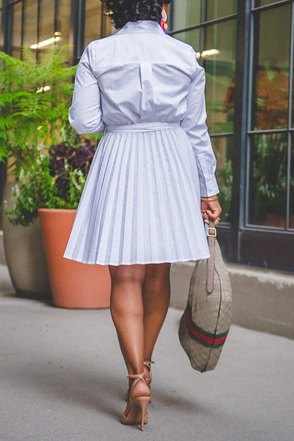 Chic Shirt & Pleated Lace Up Skirt Set