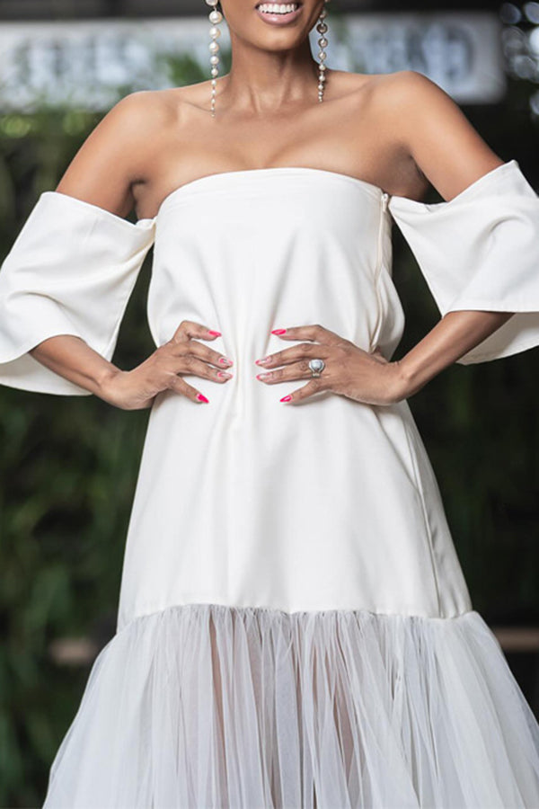 Wide Collar Off-Shoulder Short-Sleeved A-Line Mesh Dress