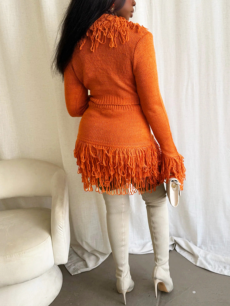 Fringe Knit Sweater & Skirt Set